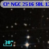 Cl* NGC 2516    SBL    1206