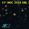 Cl* NGC 2516    SBL    1216