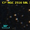 Cl* NGC 2516    SBL    1219