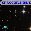Cl* NGC 2516    SBL    1221