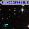 Cl* NGC 2516    SBL    1223
