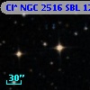 Cl* NGC 2516    SBL    1225