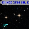 Cl* NGC 2516    SBL    1226