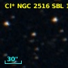 Cl* NGC 2516    SBL    1228