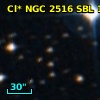 Cl* NGC 2516    SBL    1229