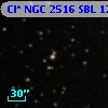 Cl* NGC 2516    SBL    1232