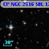 Cl* NGC 2516    SBL    1243