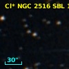 Cl* NGC 2516    SBL    1244