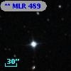 ** MLR   489