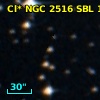 Cl* NGC 2516    SBL    1250