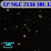 Cl* NGC 2516    SBL    1257