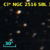Cl* NGC 2516    SBL    1263