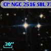 Cl* NGC 2516    SBL      73
