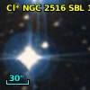 Cl* NGC 2516    SBL     145