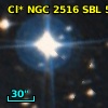Cl* NGC 2516    SBL     500