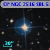 Cl* NGC 2516    SBL     511