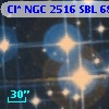 Cl* NGC 2516    SBL     689