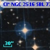 Cl* NGC 2516    SBL     771