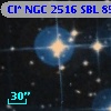Cl* NGC 2516    SBL     859