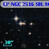 Cl* NGC 2516    SBL     868