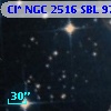 Cl* NGC 2516    SBL     973