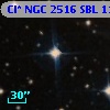 Cl* NGC 2516    SBL    1145