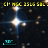 Cl* NGC 2516    SBL    1203