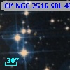 Cl* NGC 2516    SBL     458