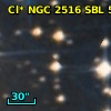 Cl* NGC 2516    SBL     532