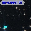 [DFM2003]  25