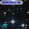 [DFM2003]  45