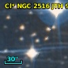 Cl* NGC 2516    JTH    9025