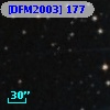 [DFM2003] 177