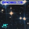 [DFM2003] 229