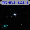 TYC 4517-1123-1