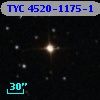 TYC 4520-1175-1
