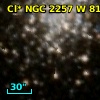 Cl* NGC 2257      W      81