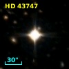 HD  43747