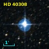 HD  40308