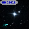 HD  25028