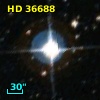 HD  36688