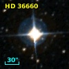HD  36660