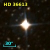 HD  36613