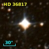 HD  36817