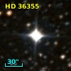 HD  36355