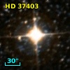 HD  37403