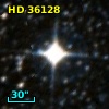 HD  36128