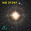 HR  1917