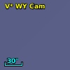 V* WY Cam