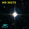 HD  34275